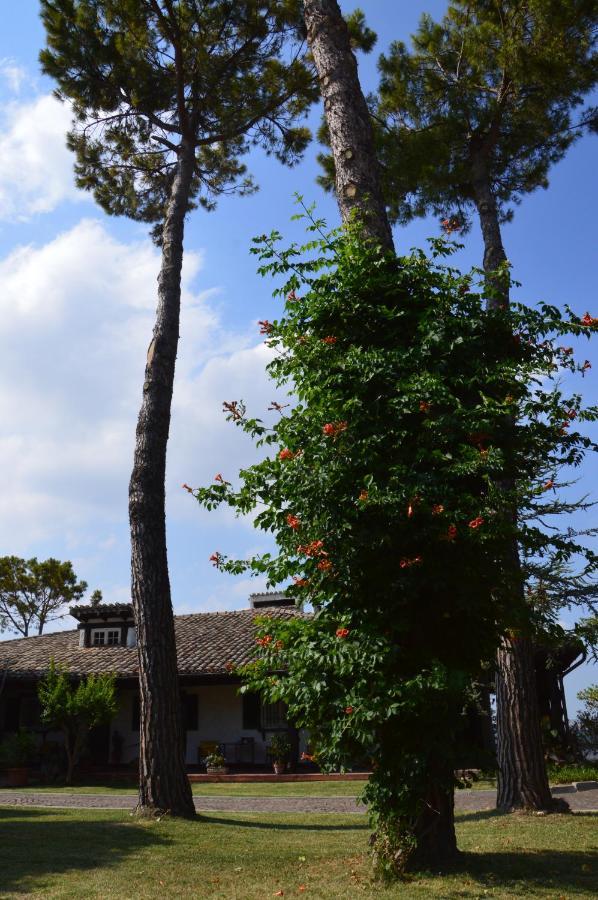 B&B Villa Lupidi Corridonia Eksteriør bilde